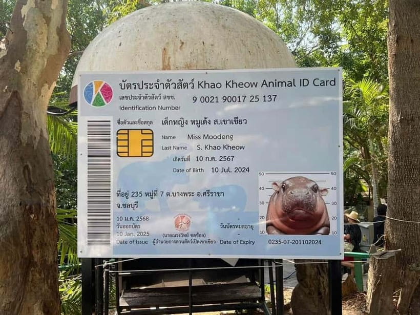 Bangkok/Pattaya: Khao Kheow Zoo Private Tour with Pickup - Driver-Only Format: Great for Convenience, Not Always for Commentary