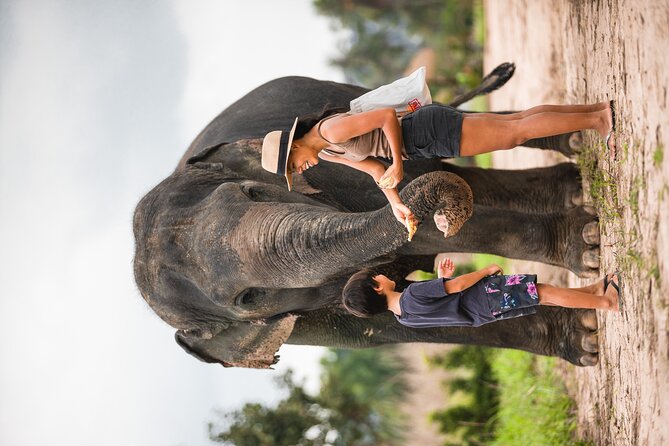 Elephant Jungle Sanctuary: Half Day Morning Program - The half-day morning schedule (and why 6:30am can be worth it)