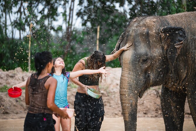 Elephant Jungle Sanctuary: Half Day Morning Program - The extras that make the morning feel complete (photos, demos, and facilities)
