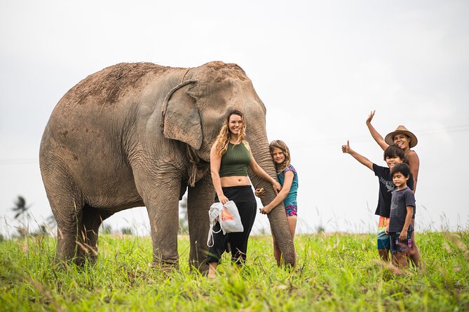 Elephant Jungle Sanctuary: Half Day Morning Program - Price and value: what $94.53 really covers