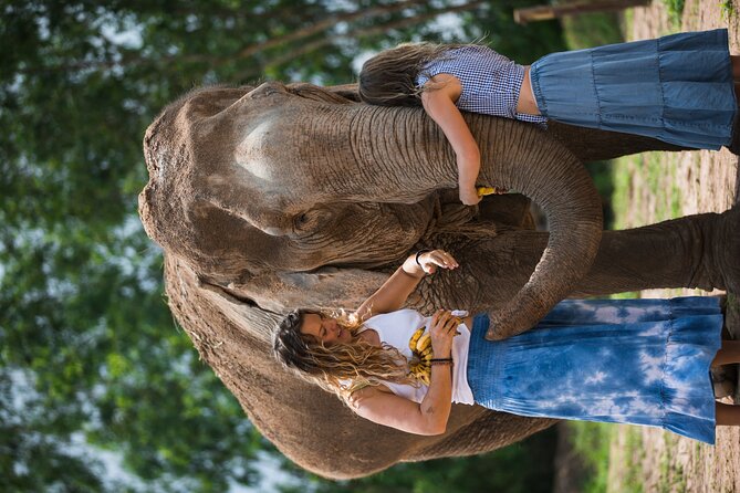 Elephant Jungle Sanctuary: Half Day Morning Program - Arriving at Elephant Jungle Sanctuary Pattaya Camp 1