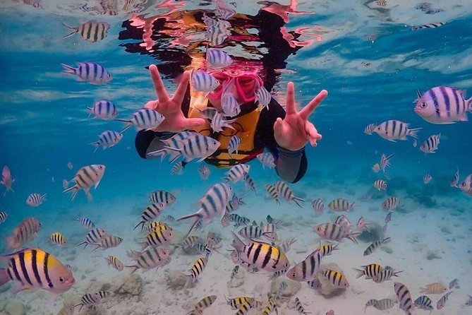 Nemo Island Experience with Drone Photos and Lunch - Lunch by the Sea: Regain Energy Before You Head Back