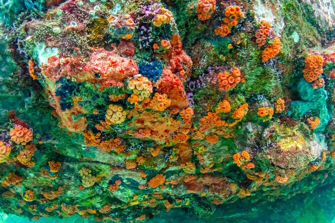 Nemo Island Experience with Drone Photos and Lunch - The Khao Chi Chan Photo Stop: A Quick Culture Break Between Sea Times