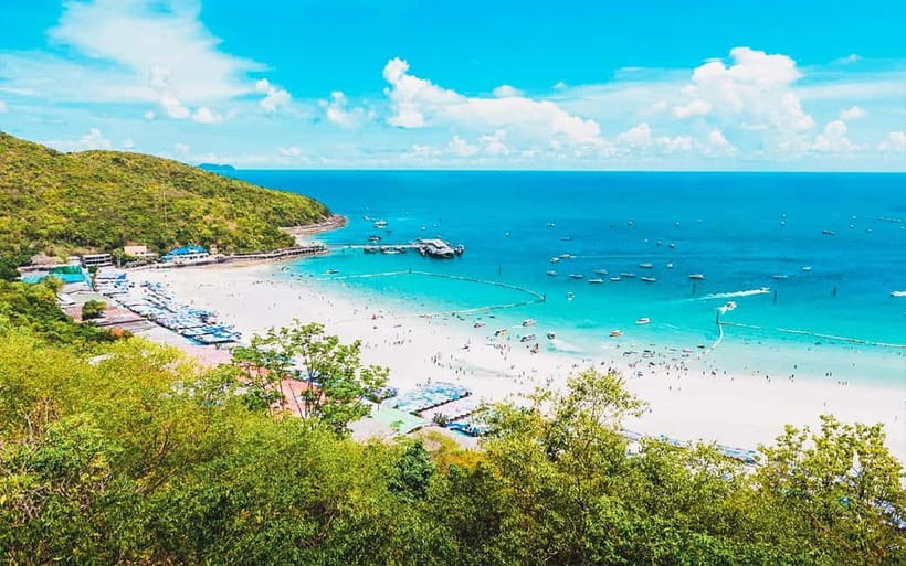Pattaya: Coral Island (Koh Larn) Day Trip with Seafood Lunch - Hotel pickup and pier transfer: arrive on time, not early