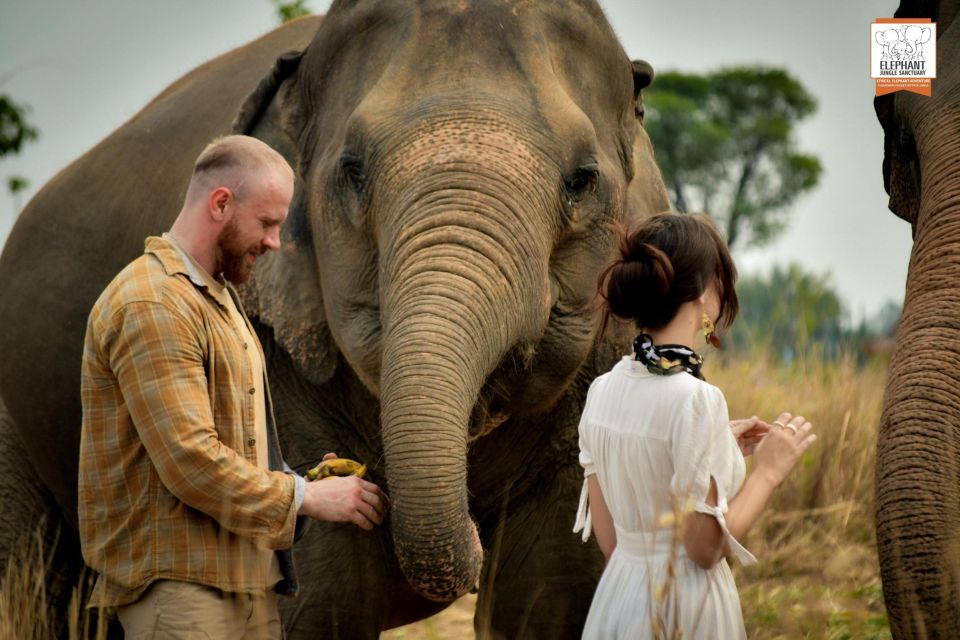 Pattaya: Elephant Jungle Sanctuary Feeding Experience - An Ethical Elephant Feeding Experience in Chonburi (Near Pattaya)