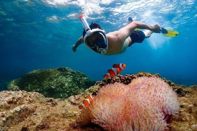 Pattaya: Koh Larn Speedboat Tour with Thai Lunch and Transfers - Back to Pattaya: Fast Return and No Headache Ending