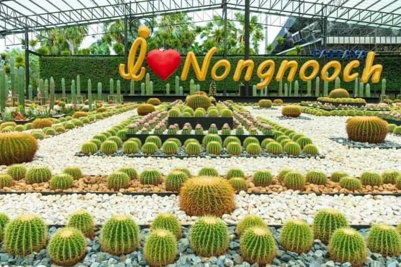 Pattaya: Nong Nooch Tropical Garden Ticket - Orchid garden and the flower-heavy botanical zones