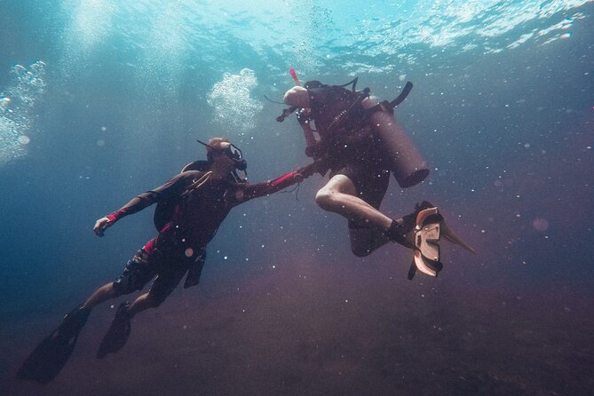 Pattaya PADI Scuba Diving Two Exciting Try Dives with PADI Instructor in Pattaya - Price and value: is $161.58 a fair deal?