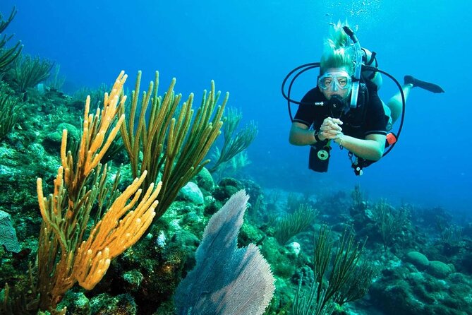Pattaya PADI Scuba Diving Two Exciting Try Dives with PADI Instructor in Pattaya - Who this is best for (and who should think twice)