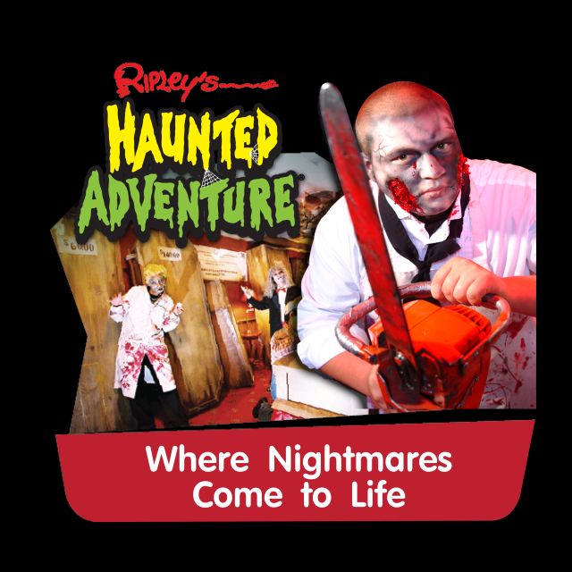 Pattaya: Ripley’s Believe It or Not! Entry Ticket - Getting There: Royal Garden Plaza Location on the 2nd Floor