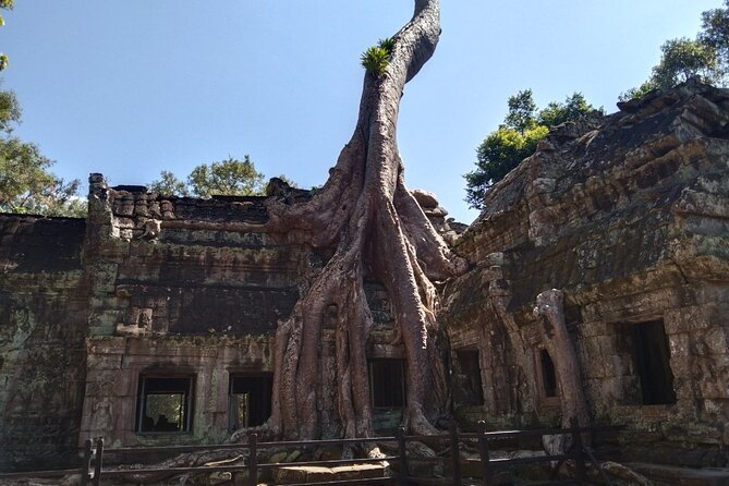 Pattaya to Angkor Wat 2 days 1 night Private tour - Angkor Wat on Day 2: Why timing and guided focus matter