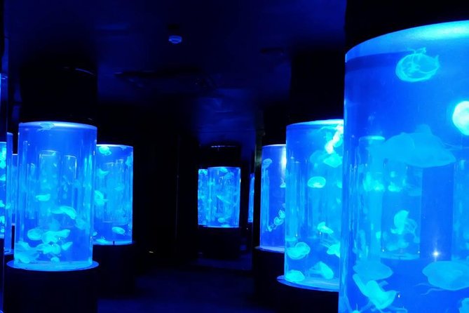 Pattaya Underwater World - Discover Ocean Treasures - Price and value: what $15.82 gets you