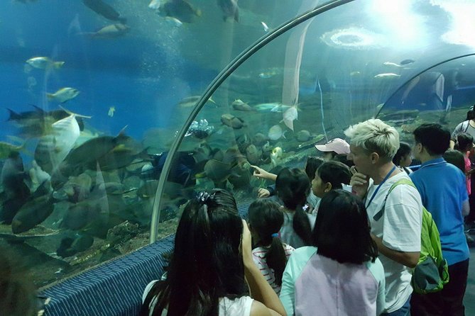 Pattaya Underwater World - Discover Ocean Treasures - A beach-break plan for families and curious kids