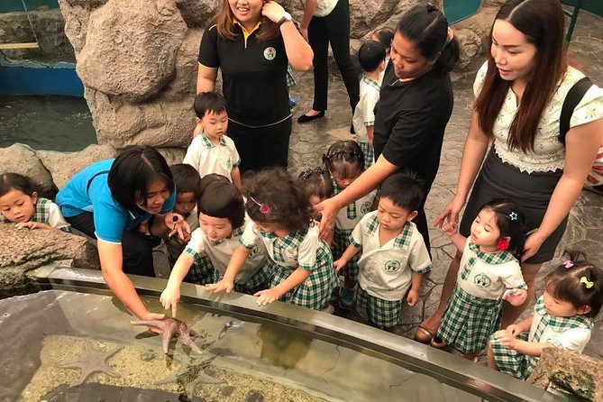 Pattaya Underwater World - Discover Ocean Treasures - Shark-and-ray encounters: what to ask about on-site
