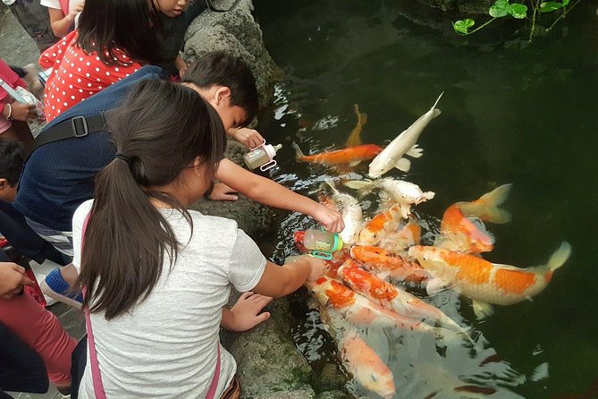 Pattaya Underwater World - Discover Ocean Treasures - Inside the aquarium: sharks, jellyfish, and the glass tunnel