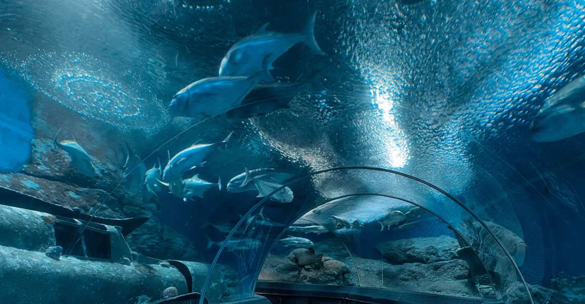 Pattaya: Underwater World Pattaya Aquarium Admission Ticket - Walking Through Coral, Sharks, and Stingrays