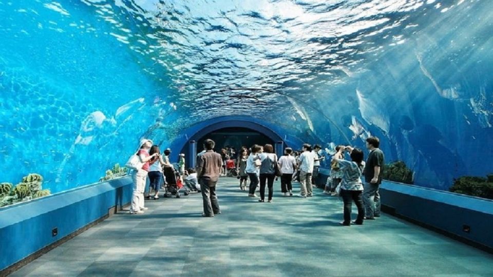 Pattaya: Underwater World Pattaya Aquarium Admission Ticket - Who Should Book This Aquarium Ticket?