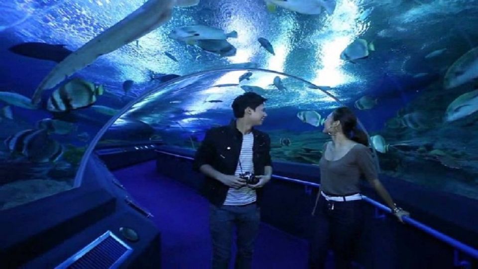 Pattaya: Underwater World Pattaya Aquarium Admission Ticket - Should You Book This Underwater World Pattaya Ticket?