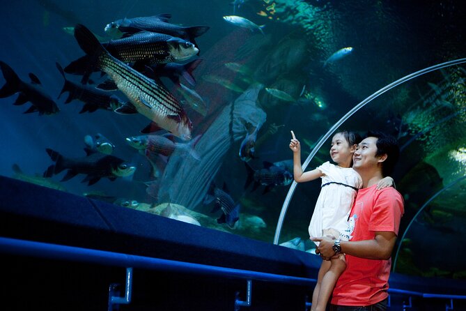 Pattaya Underwater World Tickets with Optional Hotel Pickup - Ray Pool and the calmer side of the sea