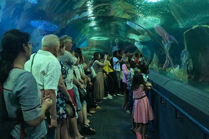 Pattaya Underwater World Tickets with Optional Hotel Pickup - Koi pond time: a small stop that feels big