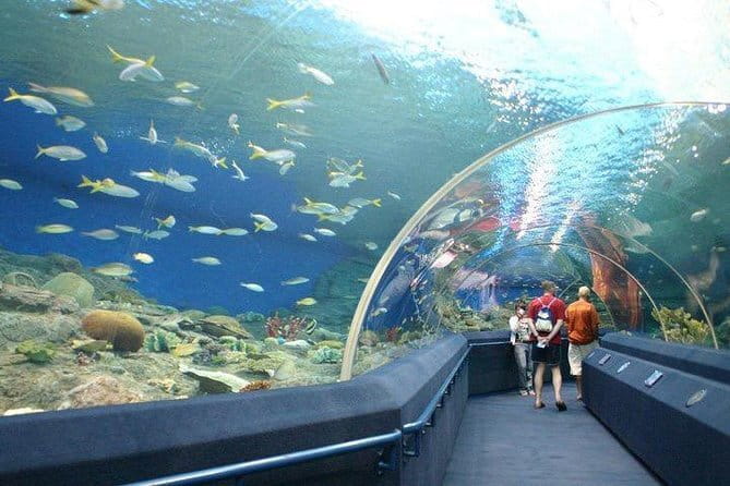 Private Transfer from Pattaya to Don Mueang/Suvarnabhumi Airport - Luggage rules: what’s included and what can cost extra