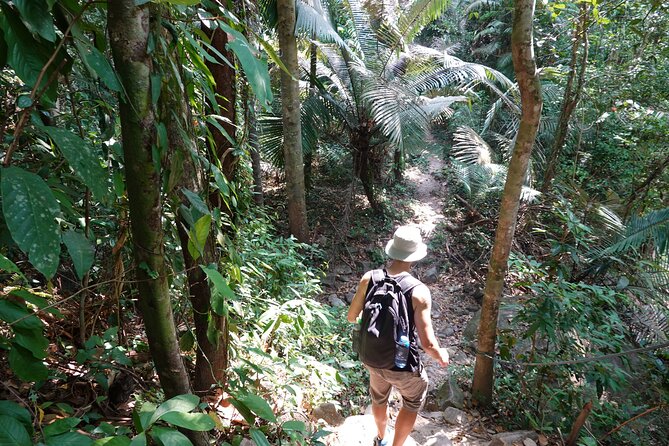 Rayong Adventure Full day Trip from Pattaya Tour - Tung Prong Thong: the mangrove walkway and that golden-yellow light