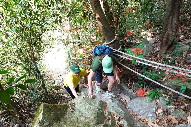 Rayong Adventure Full day Trip from Pattaya Tour - Who this tour fits best (and who should think twice)