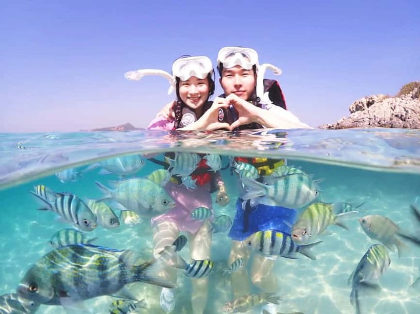 Snorkel & Chill: Nemo Island Trip from Pattaya - Samesan snorkeling: clear water, real fish, and manageable effort