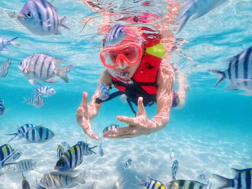 Snorkel & Chill: Nemo Island Trip from Pattaya - Should you book Nemo Island Trip from Pattaya?