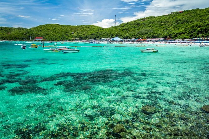 Speedboat Tour From Pattaya to Koh Larn Coral & Sak Island - Key Highlights at a Glance