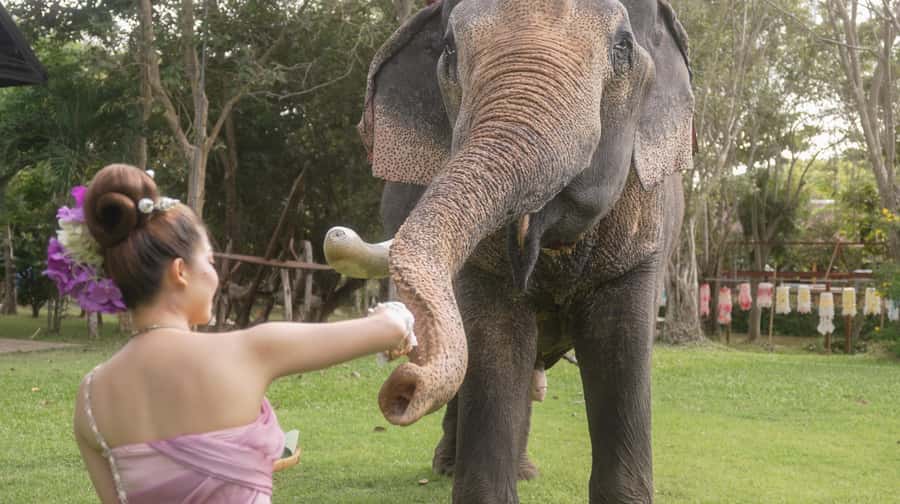 Thai Thani Cultural Village Admission Ticket ( PACKAGE - B ) - The Thai costume moment: photos, fit, and easy fun