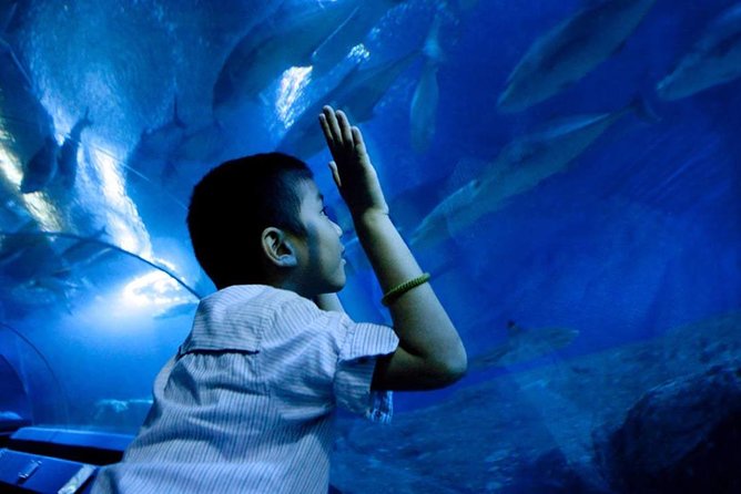 Underwater World Pattaya (Ticket Only) - Touch Pool zone: the hands-on part that can make or break your visit